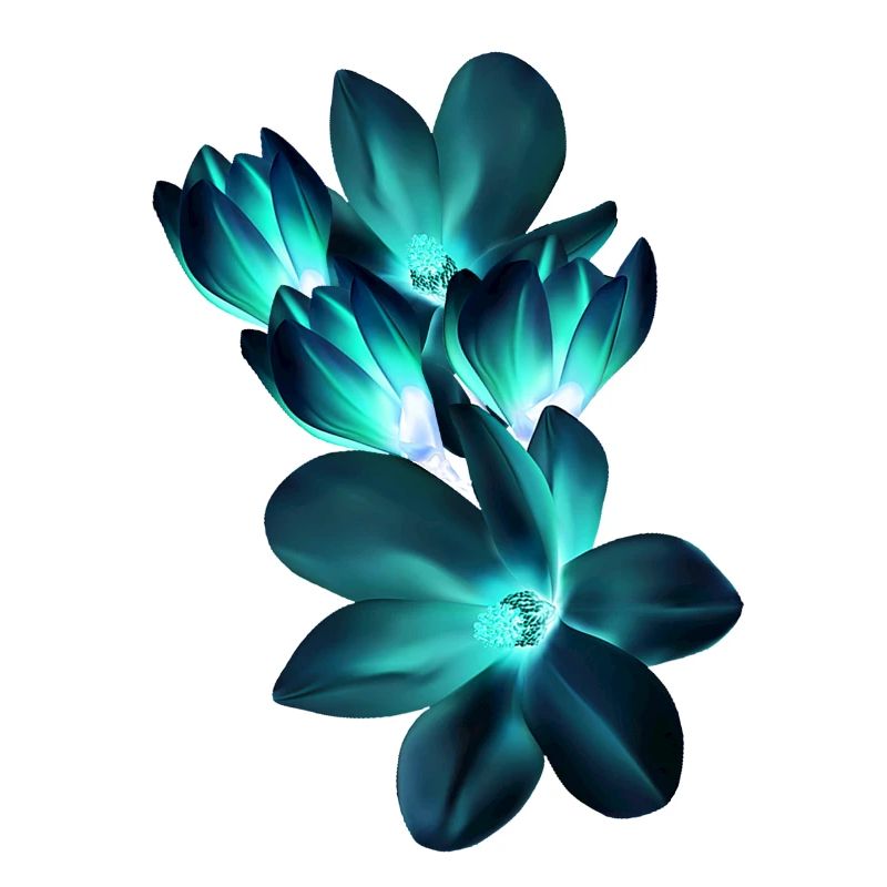 magnolia