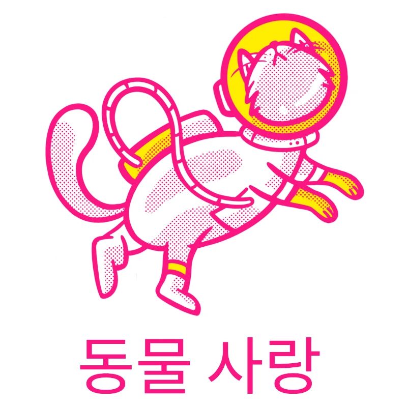 Space Cat