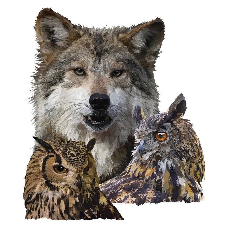 Wolf und Eulen