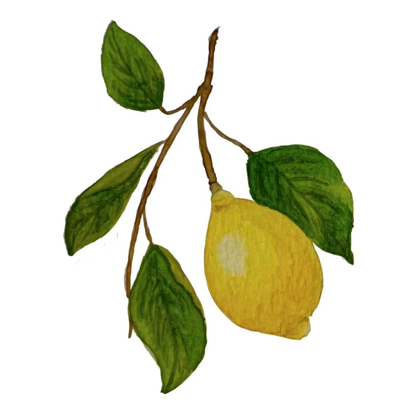 Lemon sprig