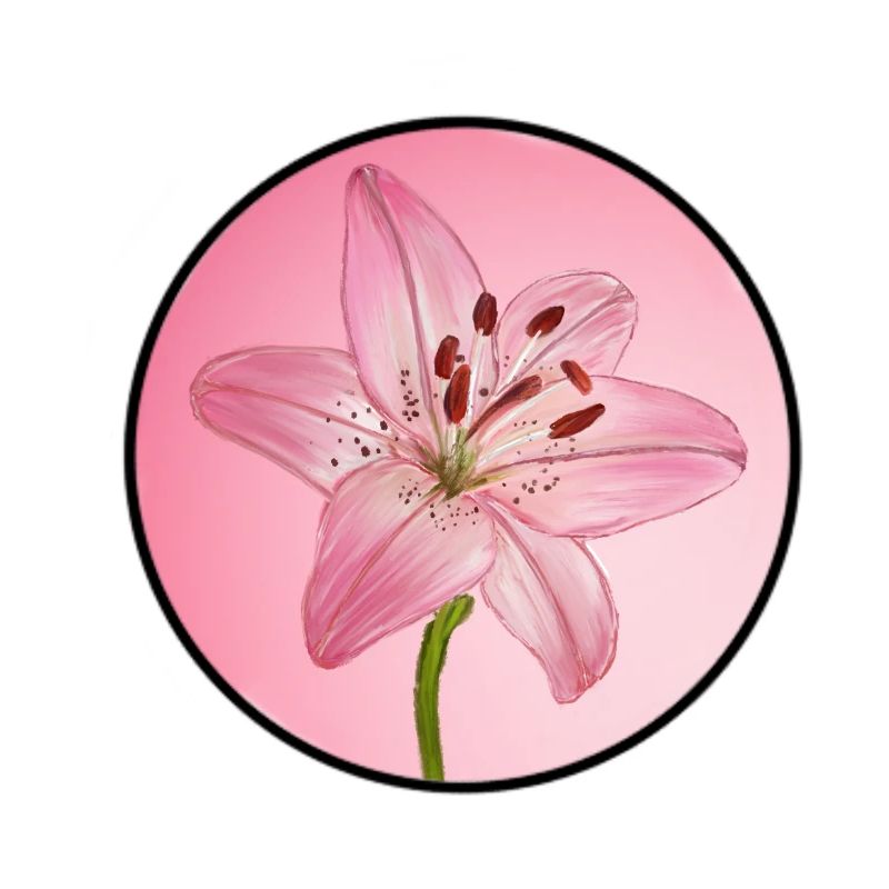 LilyDream