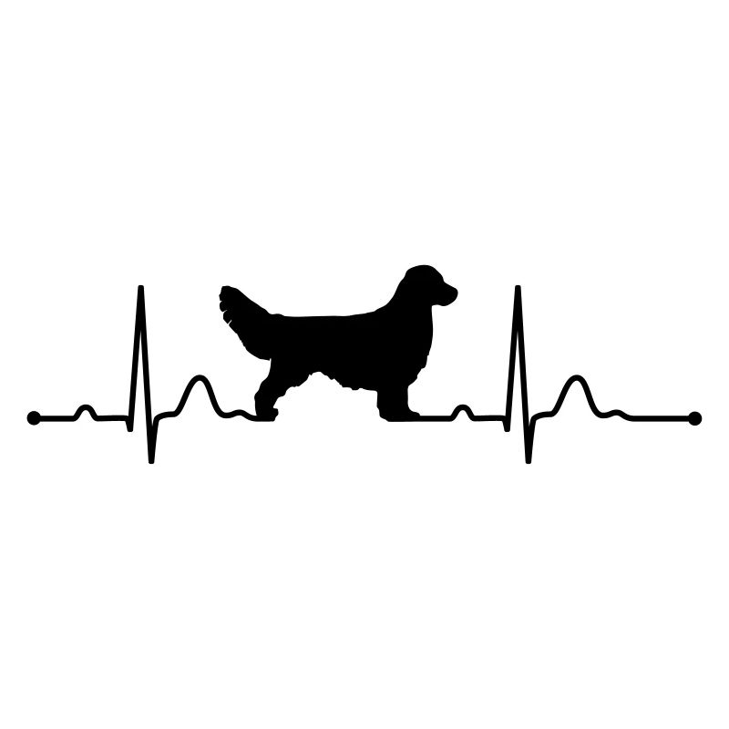 Golden Retriever bicie serca bicie serca