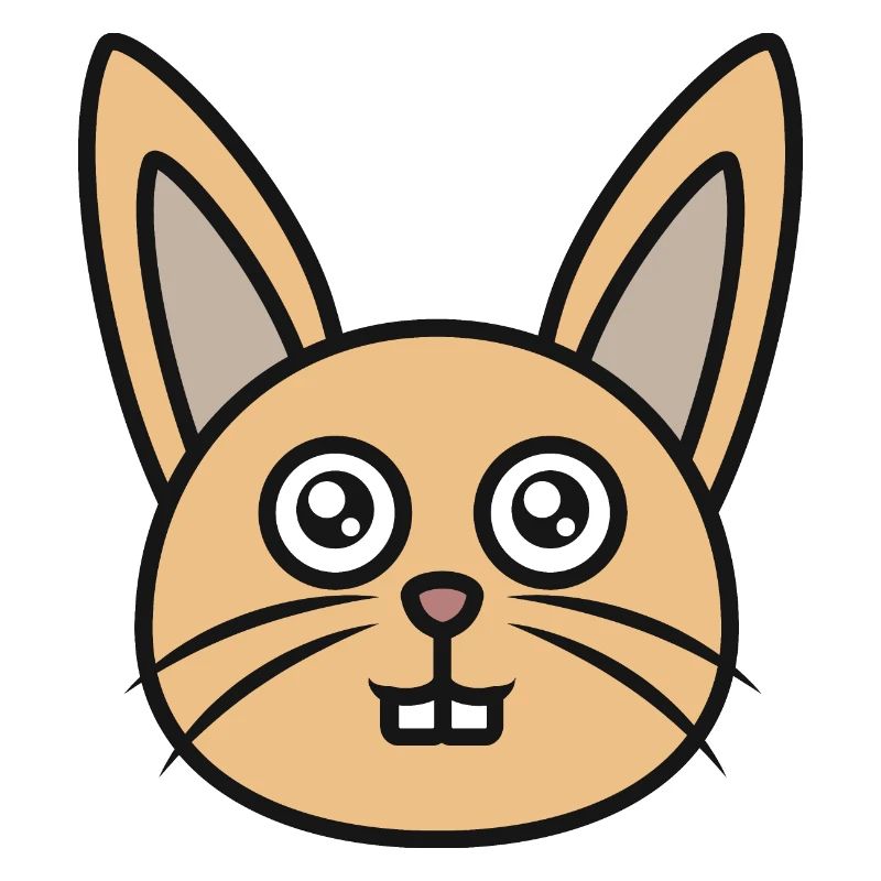 Cute rabbit