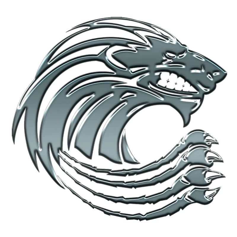Lion game vector