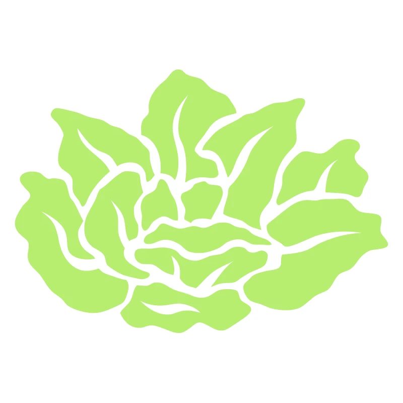 salade 27