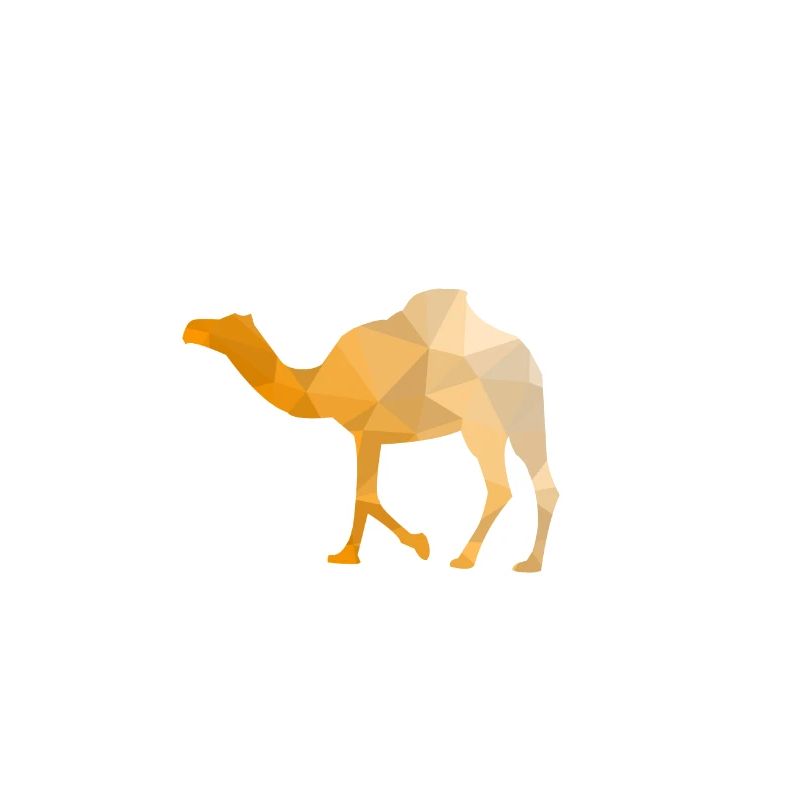 Camel dromedary