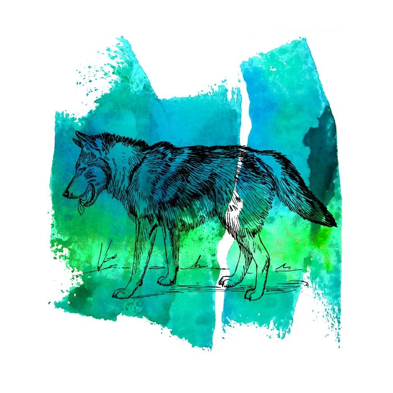 Wolf wolves werwolf T Shirt Geschenk