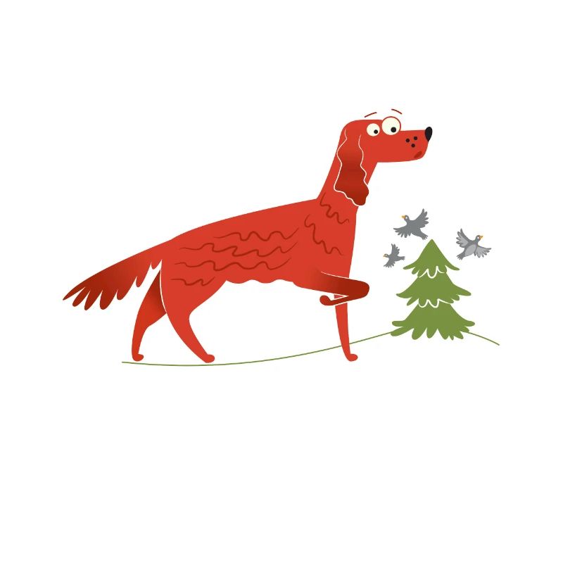 Irish Setter Geschenkidee