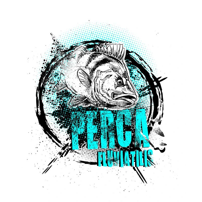 Perch – Perca fluviatilis
