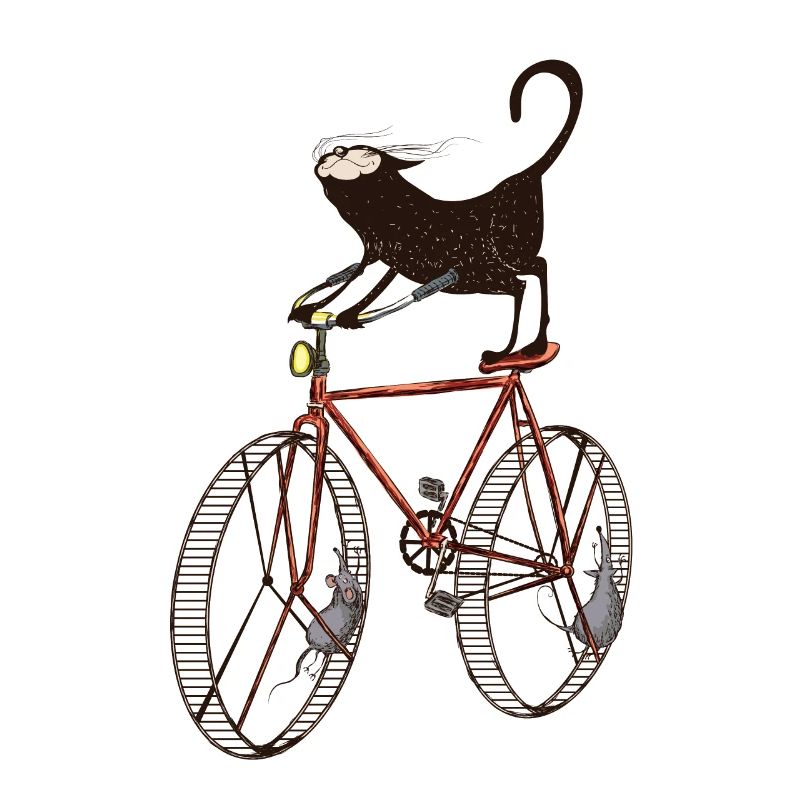 Chat effronté se fait chauffer