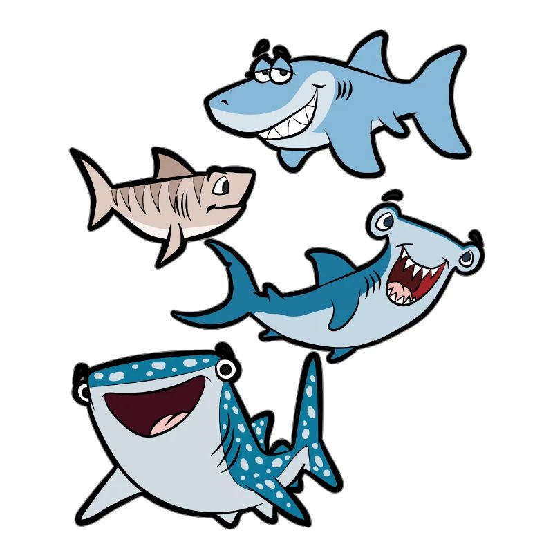 Hammerhai requin blanc requin requin requin