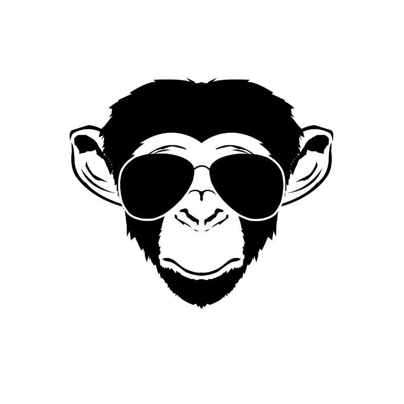monkey