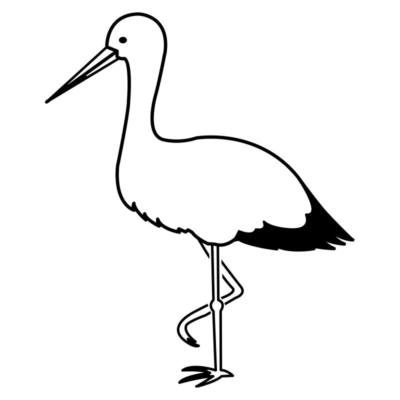storch_1