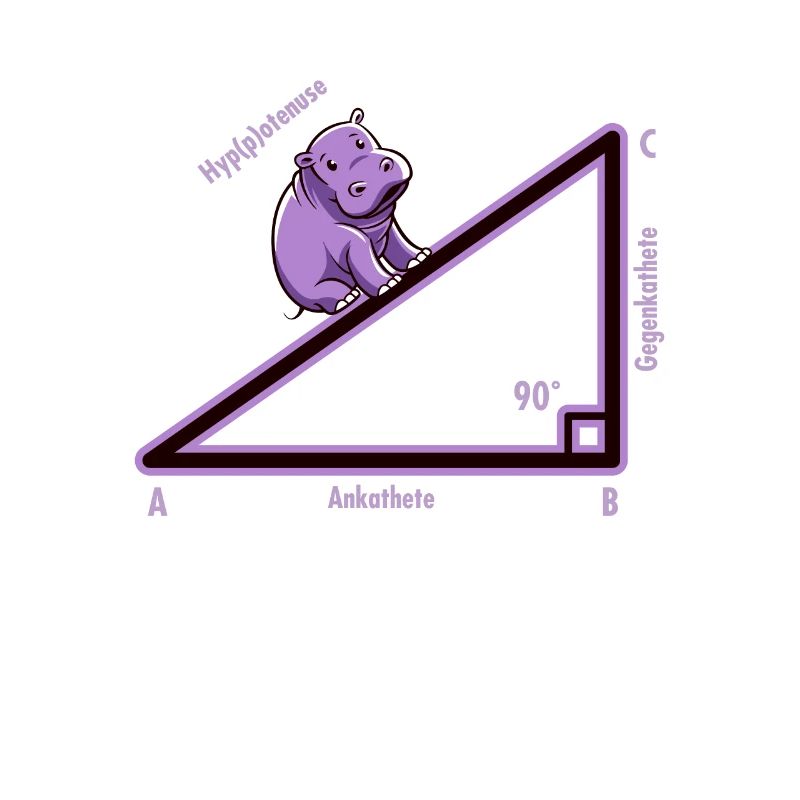 Hyppotenuse Hypotenuse Triangle Math Nerd Humor