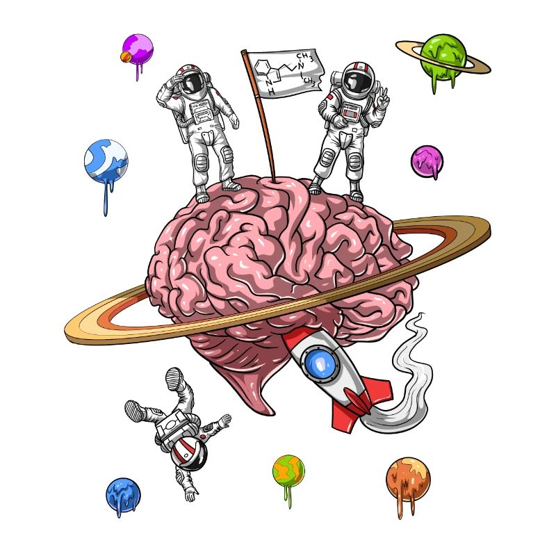 DMT Psychedelic Astronauts