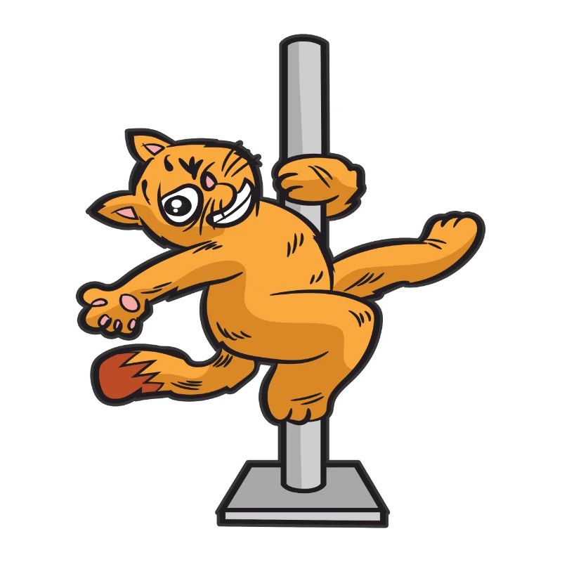 POLE DANCE chat sur le pole dance pole humour