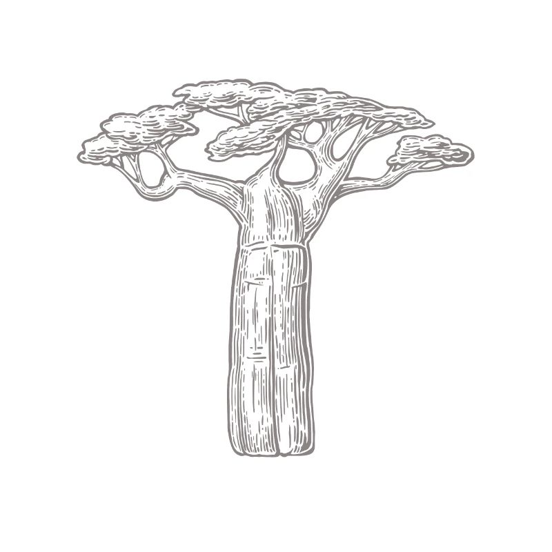 Baobab Bäume Liebhaber Geschenk Afrika Grafik