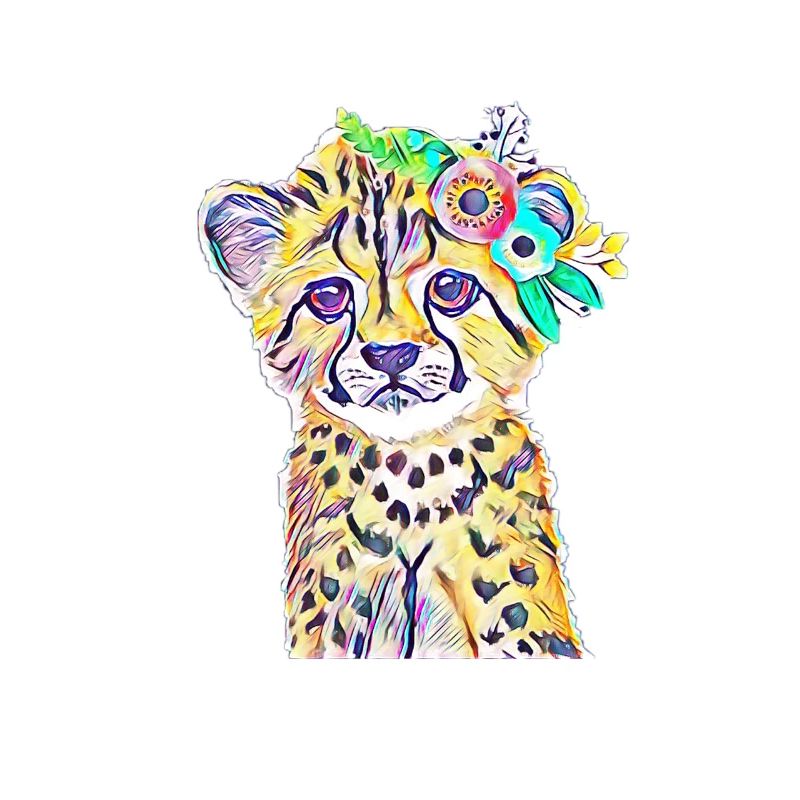 cheetah