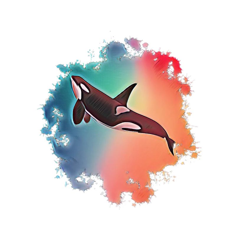 Orca