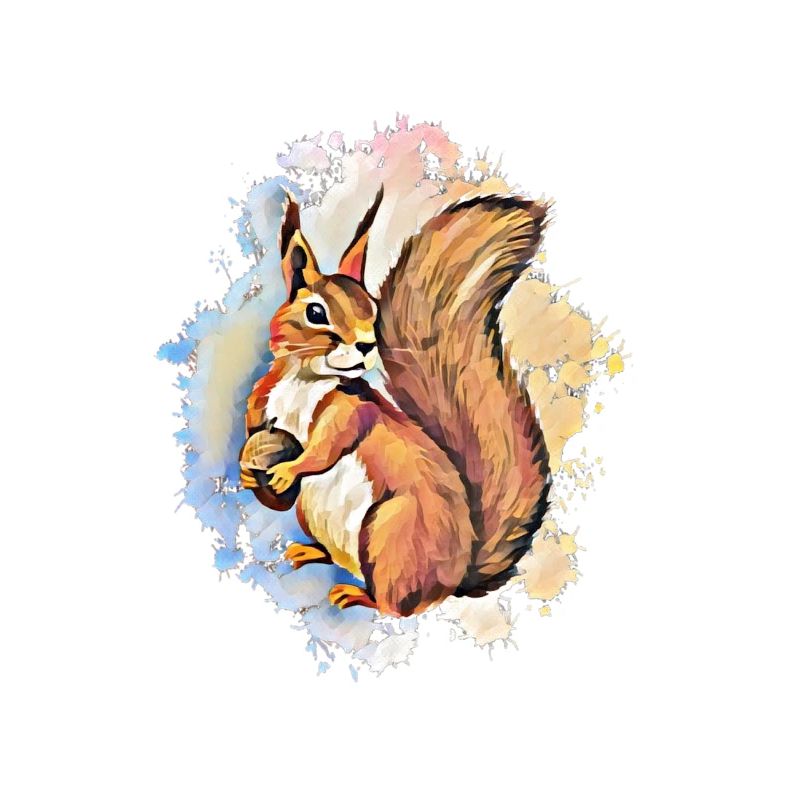 Eichhörnchen