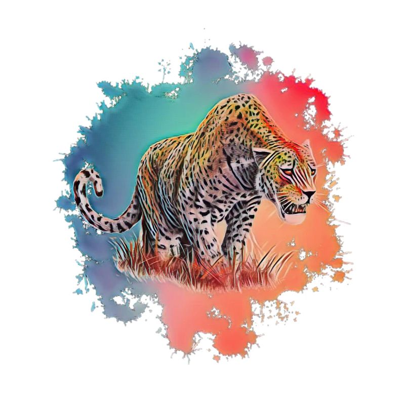 leopard