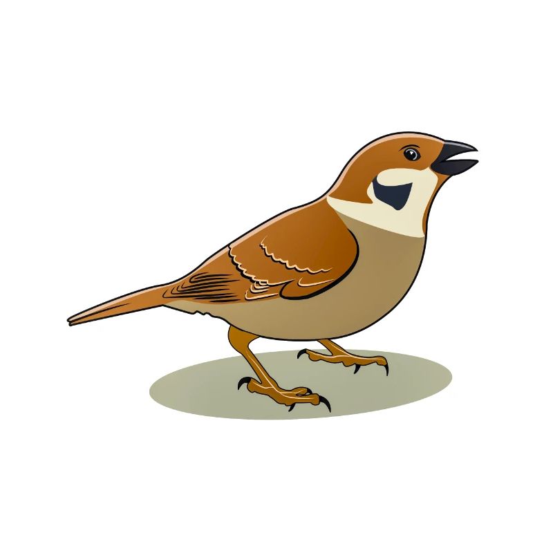 SPARROW