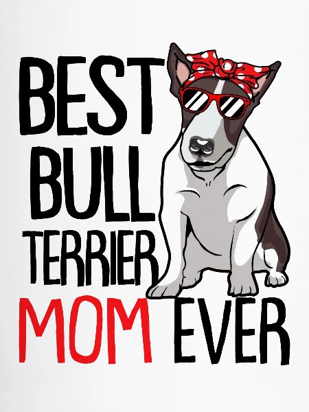 Bullterrier