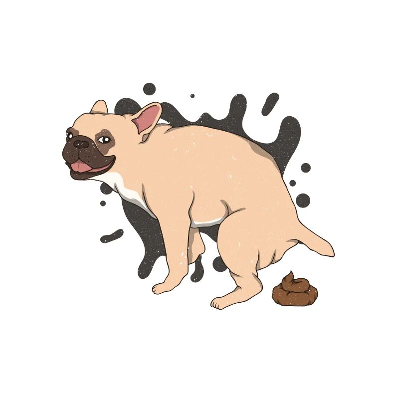 FRENCHIE caca des tas de caca