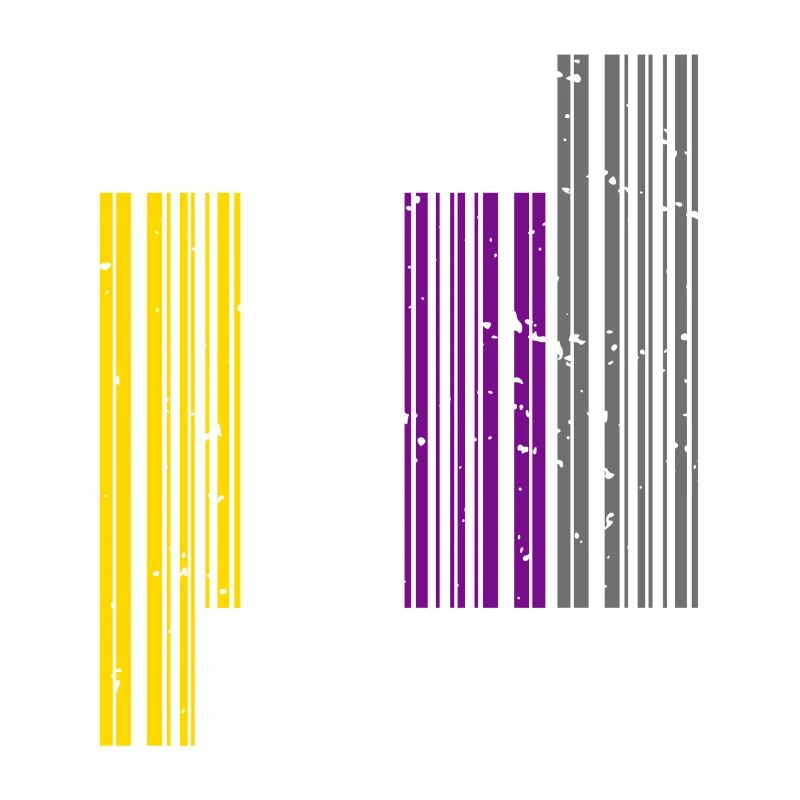 Nonbinary I LGBT Pride I Flag Barcode I Assume