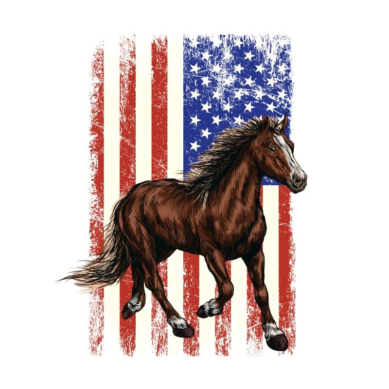 Cheval devant le drapeau américain, le 4 juillet.