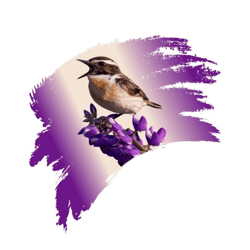 Gorge brune, Oiseau de l’année 2023