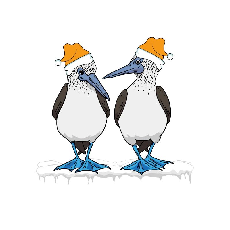 Blue-footed Christmas