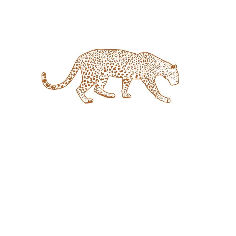 Leopard Raubkatze Afrika