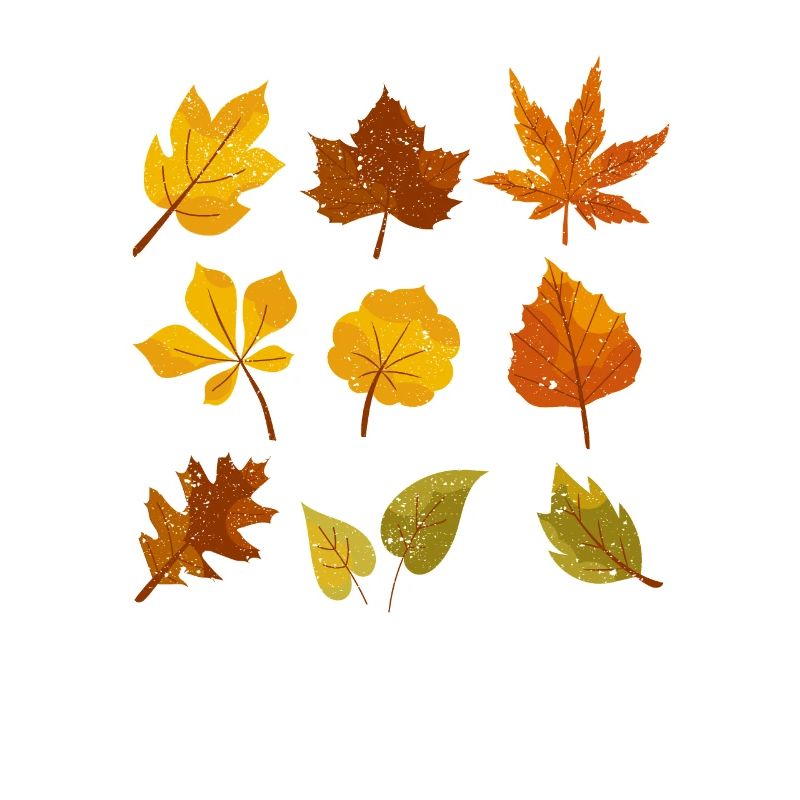 Fall Leaves October Lover Autumn Leave Maple Leaf