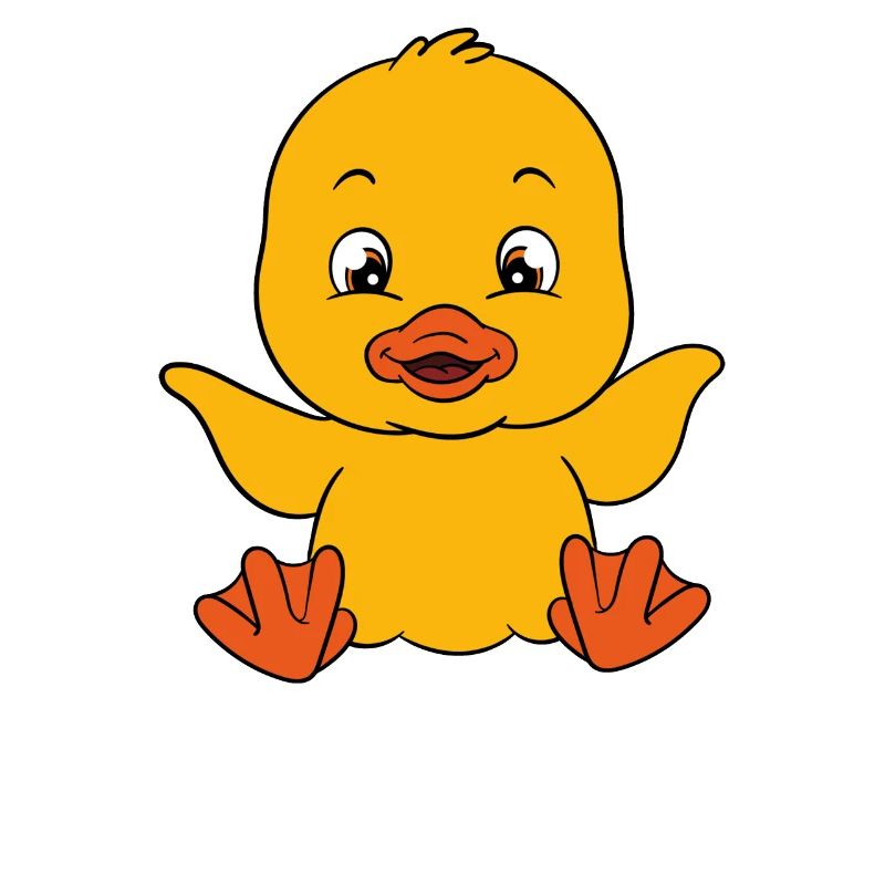 Funny duck Cute ducks