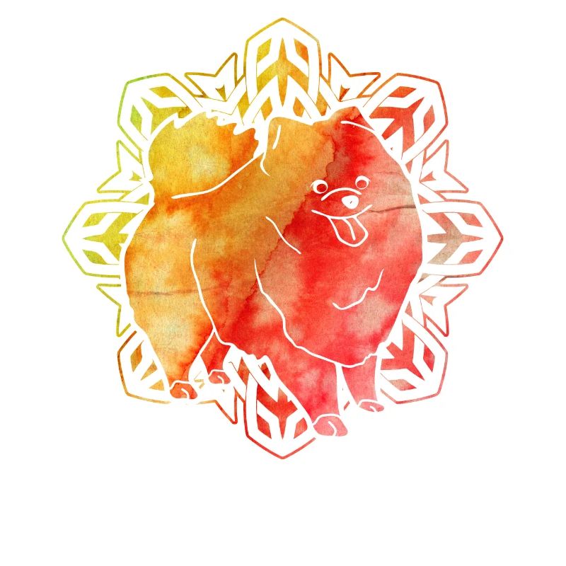 Pomeranian Zwergspitz