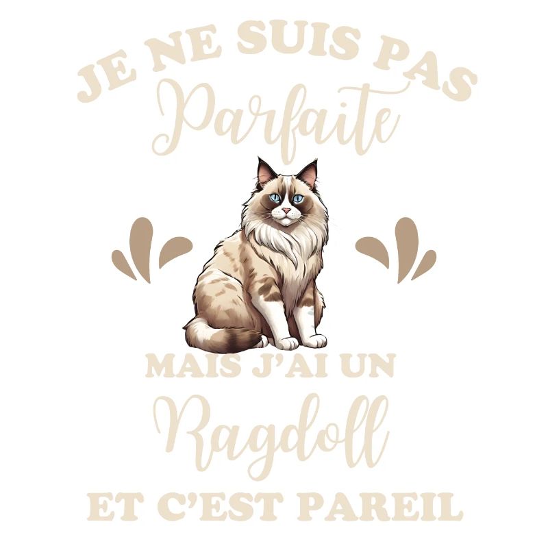 Chat doux Ragdoll