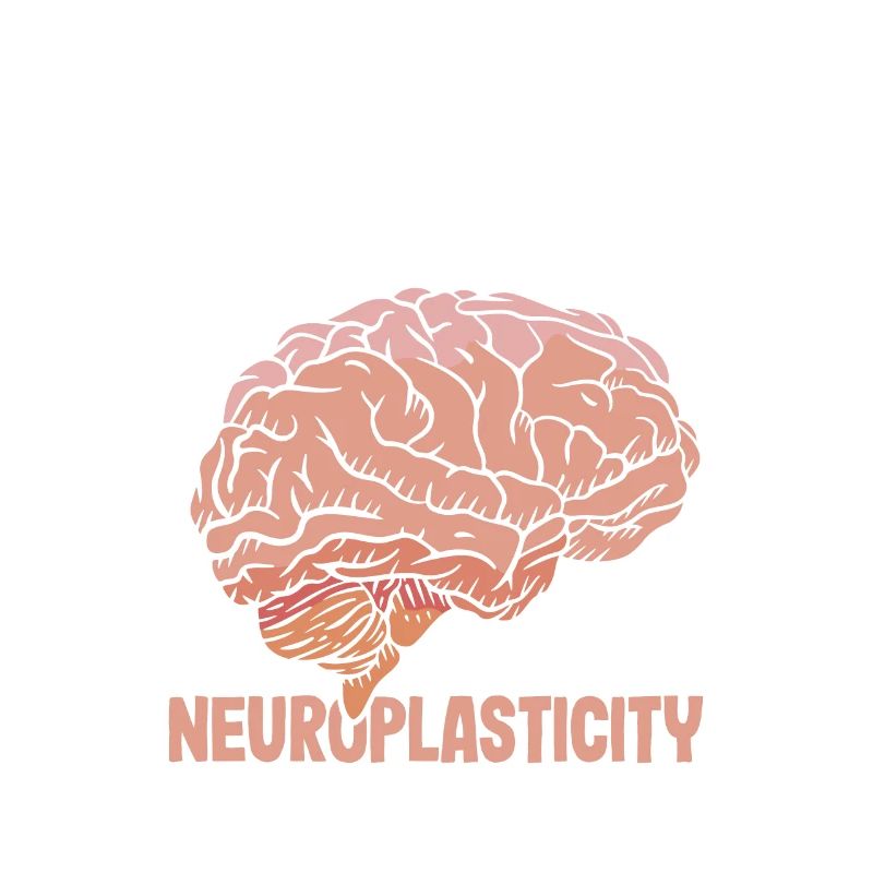 Unlock Your Brain's Potential Neuroplasticity