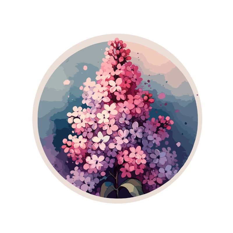 Lilac drawn