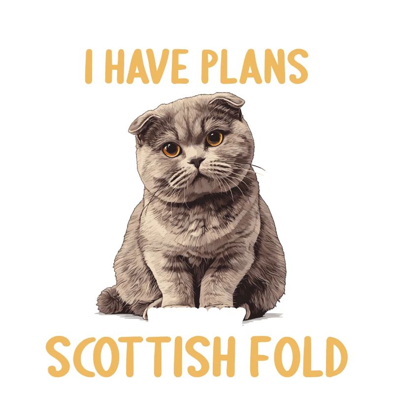 Scottish Fold Kätzchen Scottish Fold Katze