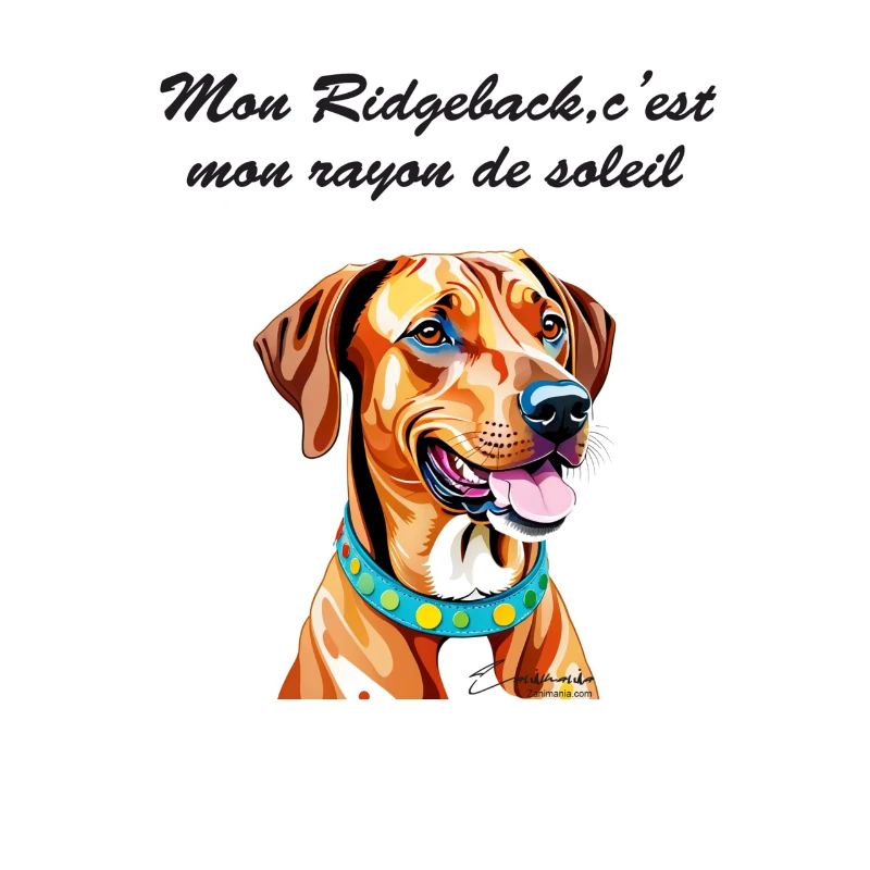 Rhodesian Ridgeback rayon de soleil