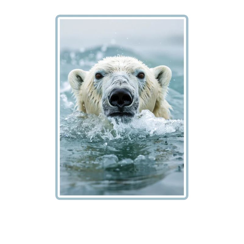 Polar Bear Eisbären Eisbär