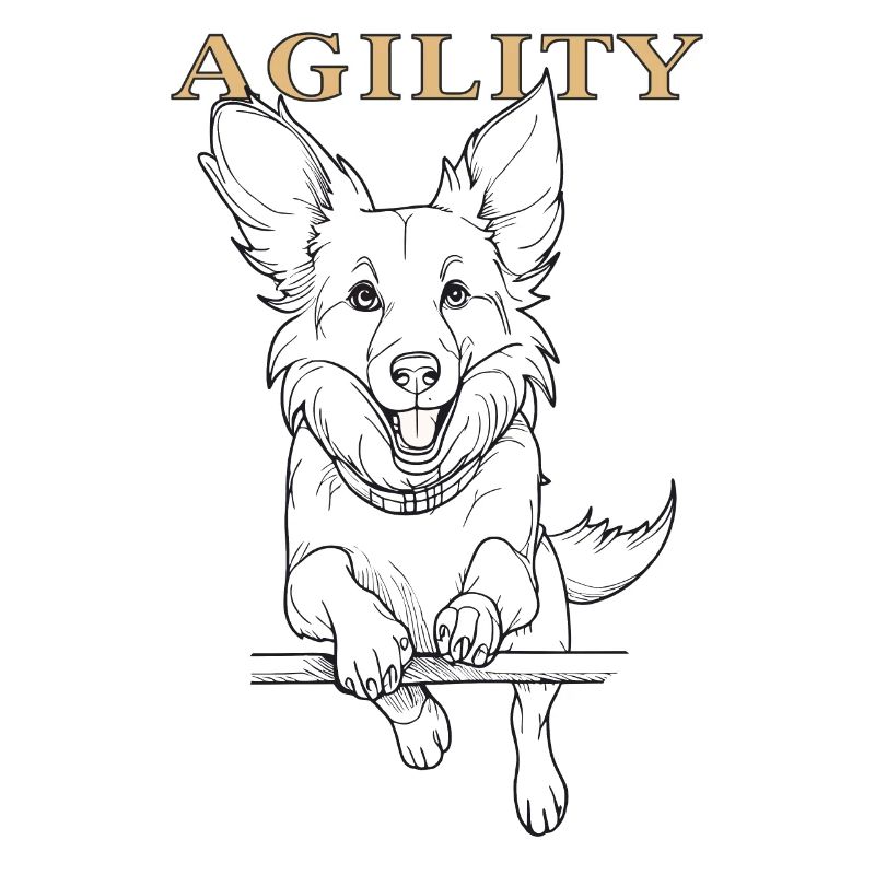 AGILITÉ DU CHIEN