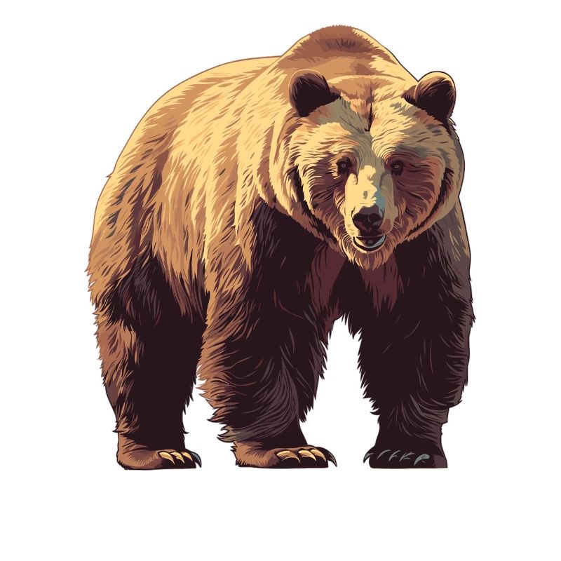 Kodiak Bear Kodiak Bear