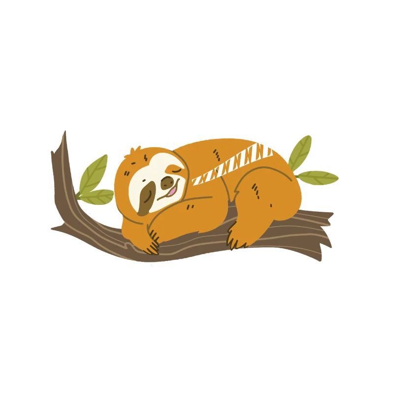 Sloth No Buck