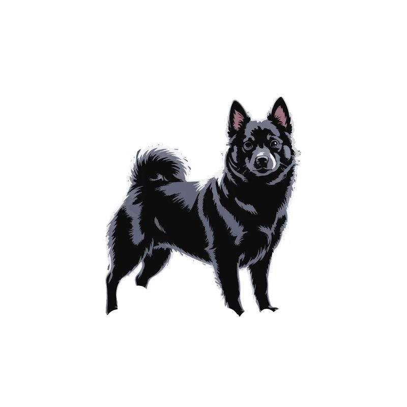 Weekend plans: Time with my Schipperke
