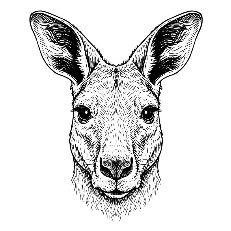 Känguru