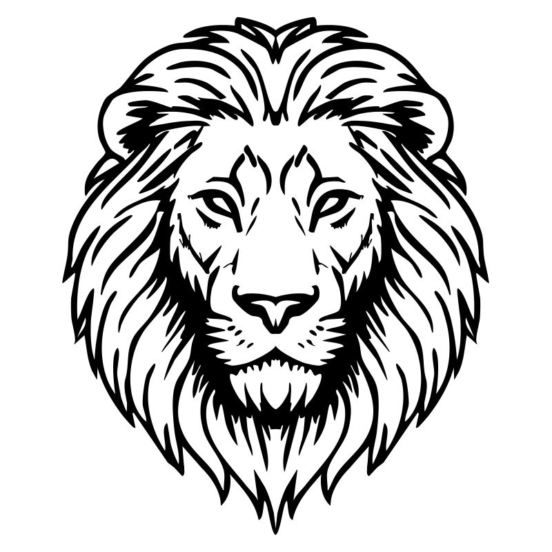 illustration de lion