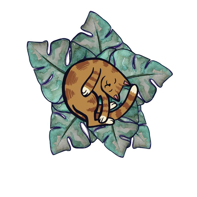 Katzenschlaf auf Monstera-Blättern