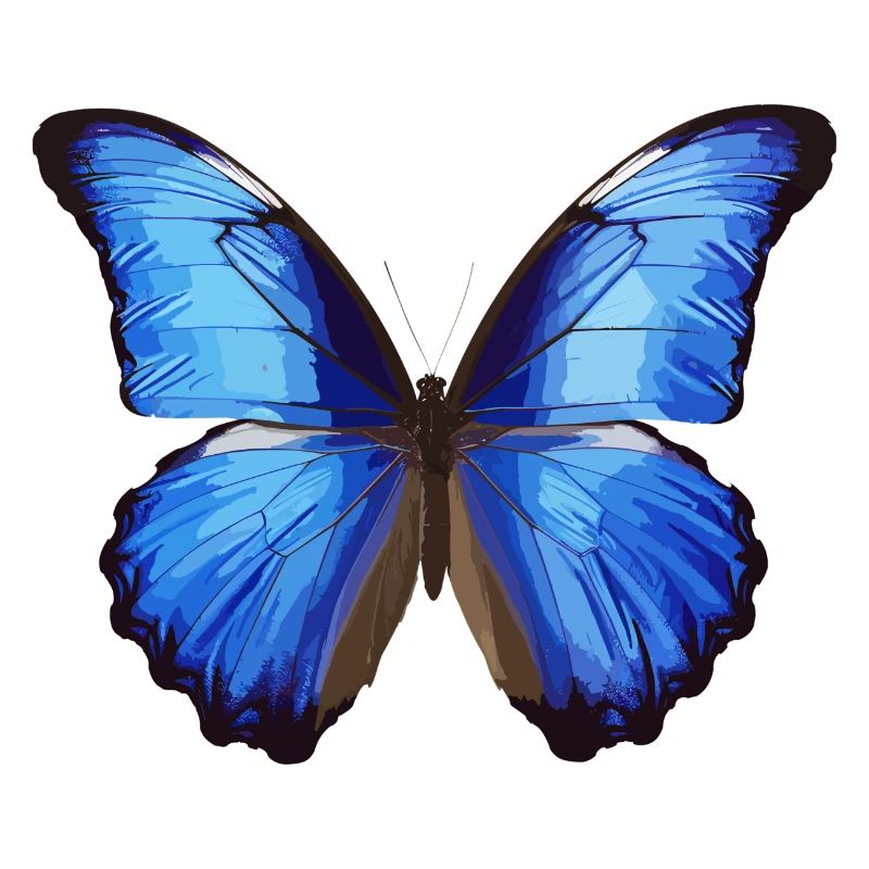 Morpho Papillon Bleu